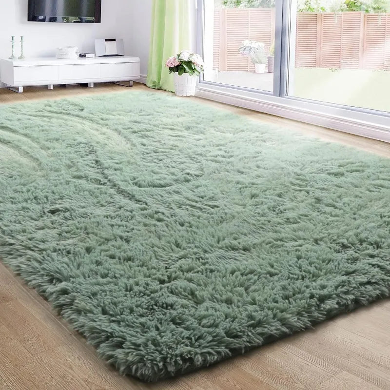 Fluffy Shag Area Rug